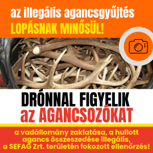 Read more about the article ILLEGÁLIS AZ AGANCSGYŰJTÉS