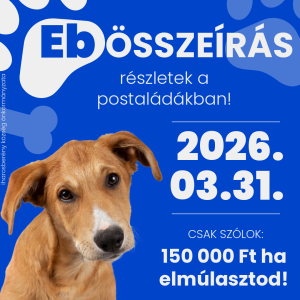 Read more about the article EBÖSSZEÍRÁS INDUL