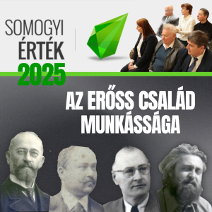 Read more about the article BERÉNYI A SOMOGYI ÉRTÉKDÍJASOK KÖZÖTT
