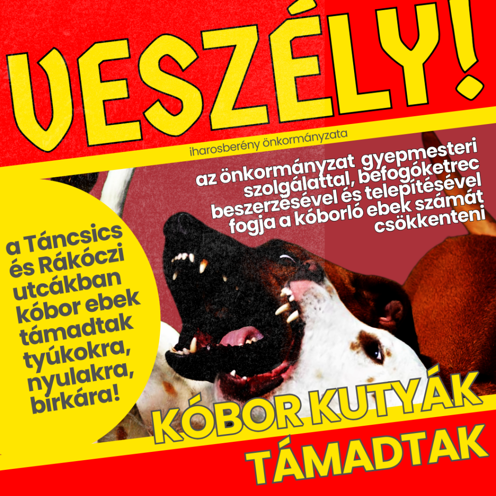 Read more about the article VESZÉLY! KÓBOR KUTYÁK!