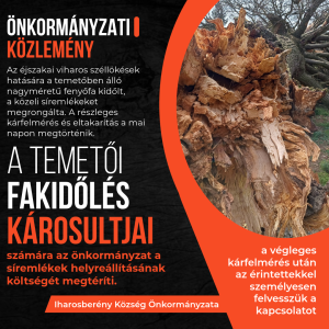 Read more about the article RENDKÍVÜLI ÖNKORMÁNYZATI KÖZLEMÉNY