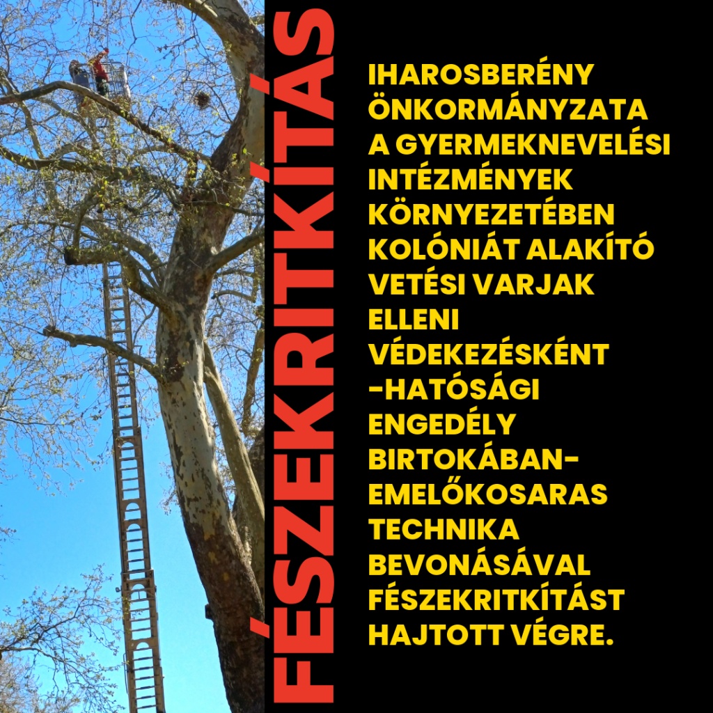 Read more about the article FÉSZEKRITKÍTÁS