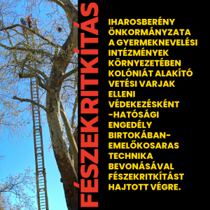 Read more about the article FÉSZEKRITKÍTÁS